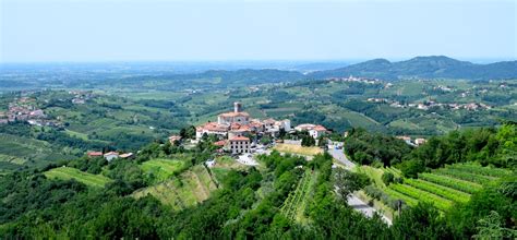 brda wijnstreek|Wine Regions of Slovenia